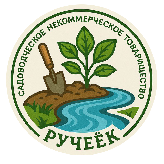 СНТ «CMS»